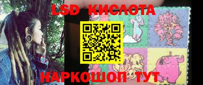 стаф Кандалакша
