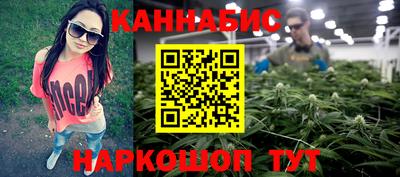 стаф Кандалакша