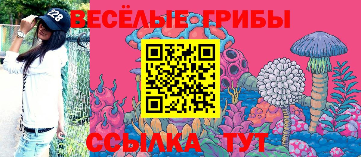 Галлюциногенные грибы прущие грибы  Галлюциногенные грибы Cubensis  что такое наркотик  Вход с VPN  Костомукша 