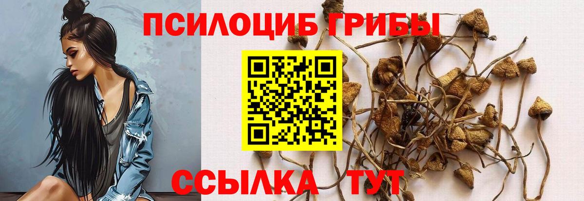 Галлюциногенные грибы GOLDEN TEACHER Костомукша