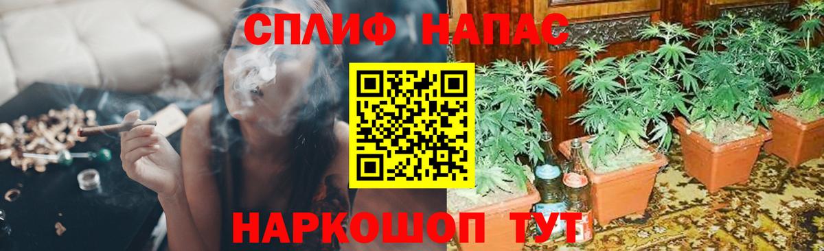 Бошки Шишки сатива Костомукша